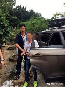 德庆县爆料新闻最新