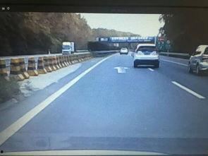 网友爆料私家车违法吗视频  第2张